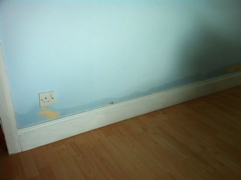 project for damp proofing in nottingham - image shows rising damp up the wall